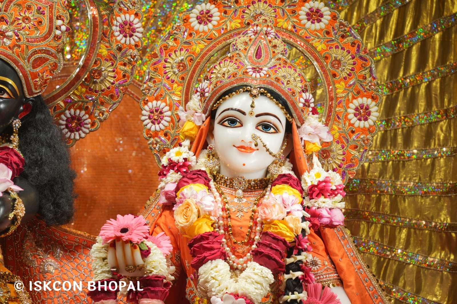 WhatsApp Image 2026-03-23 at 08.38.17 (1)