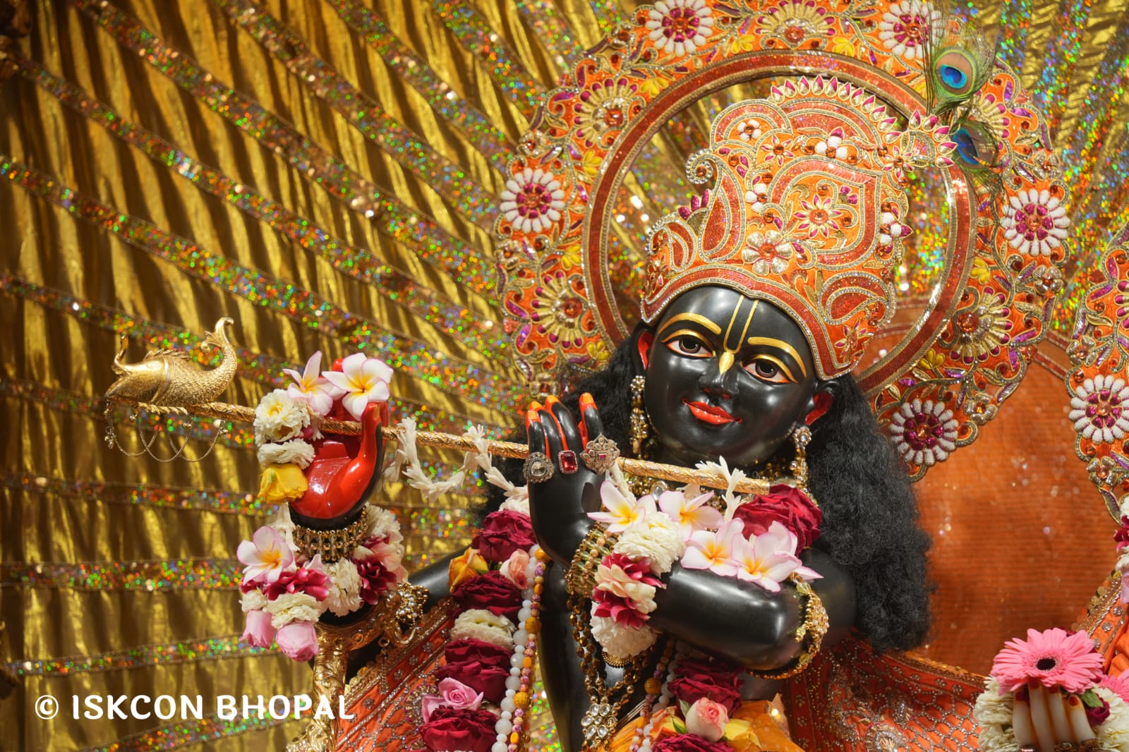 WhatsApp Image 2026-03-23 at 08.38.17