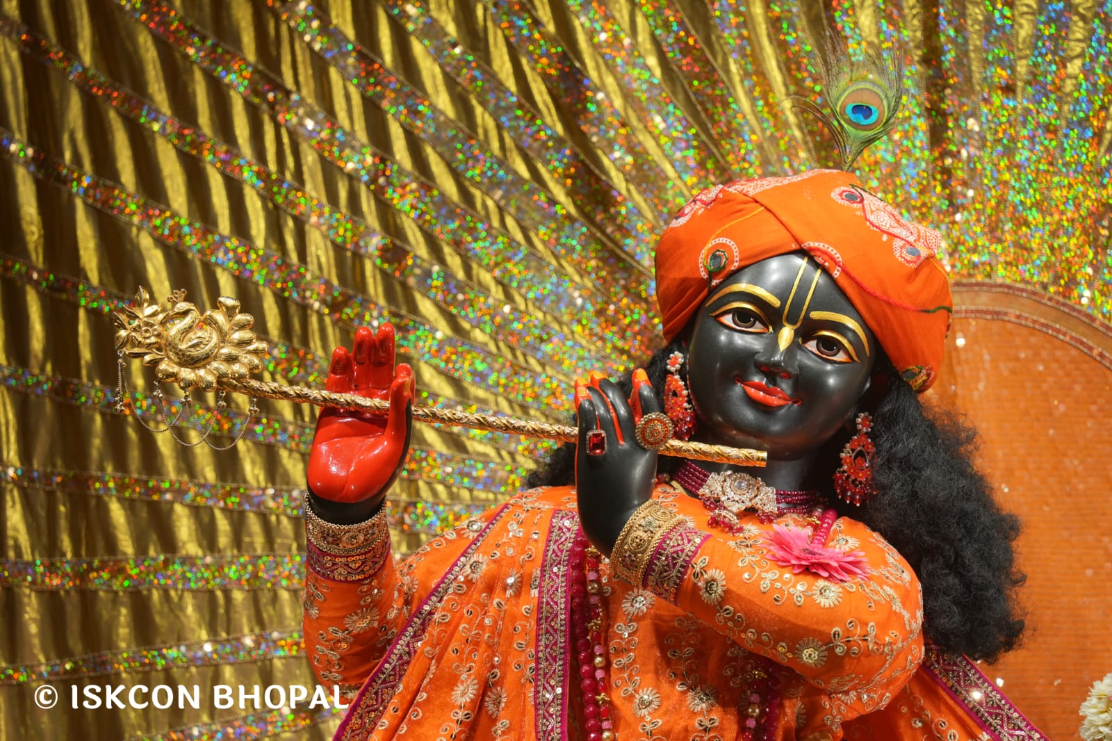 WhatsApp Image 2026-03-24 at 13.36.18