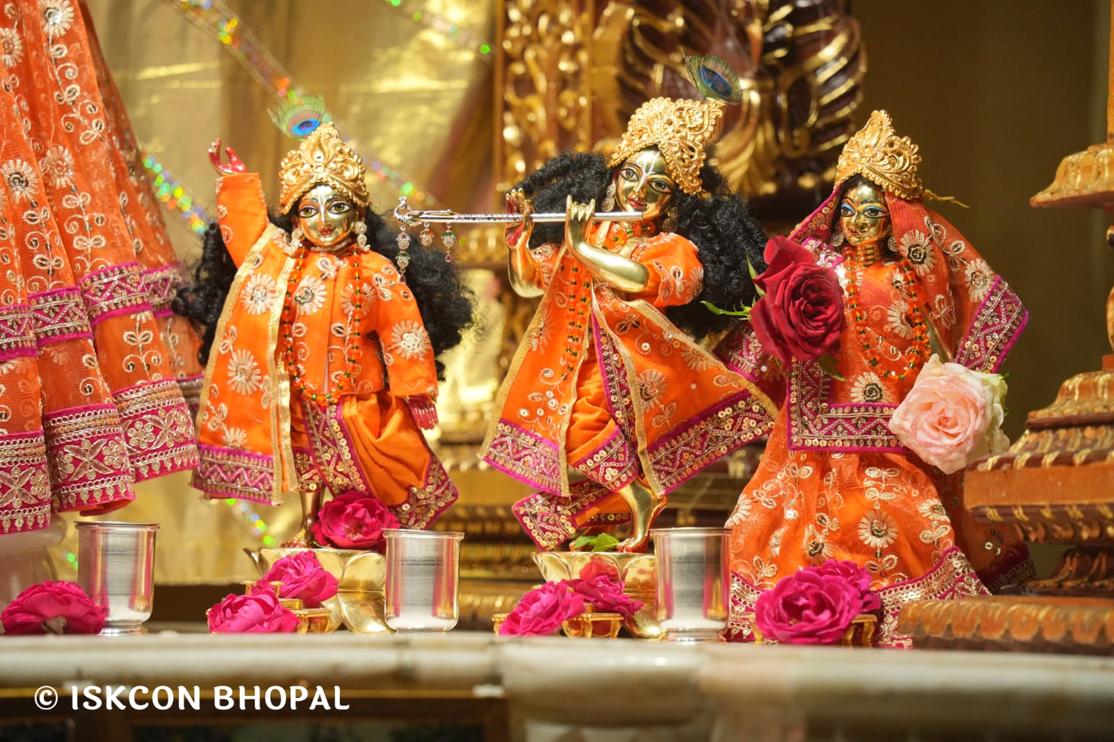 WhatsApp Image 2026-03-24 at 13.36.19 (1)