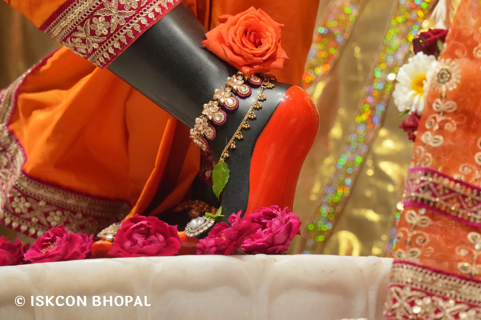 WhatsApp Image 2026-03-24 at 13.36.21 (1)