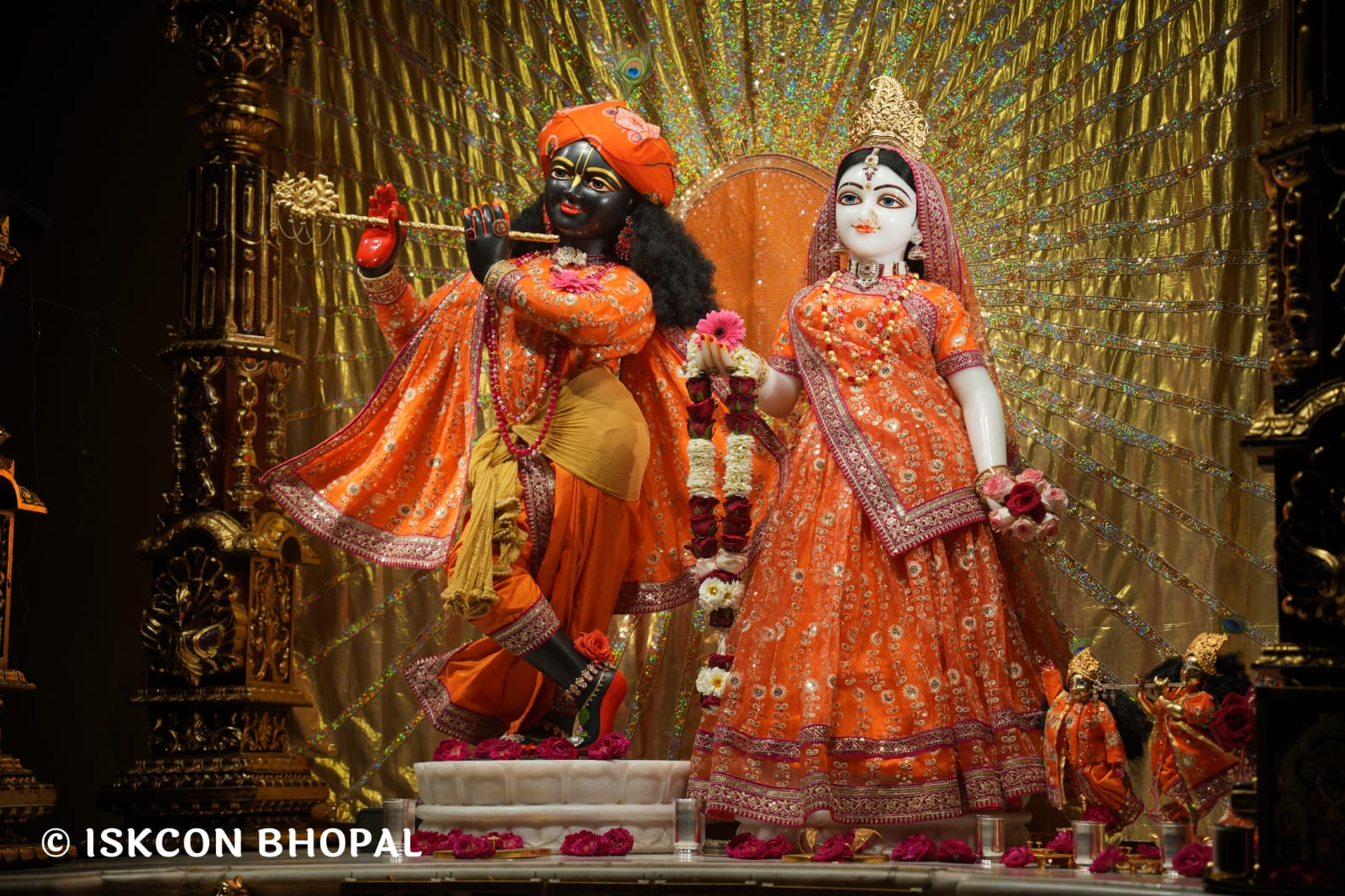 WhatsApp Image 2026-03-24 at 13.36.23