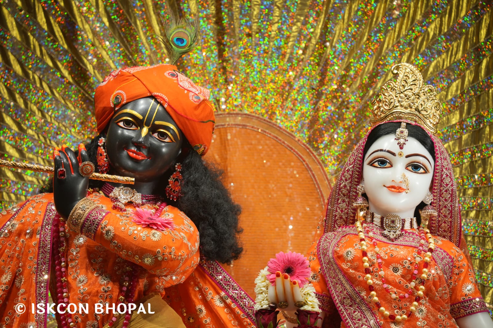 WhatsApp Image 2026-03-24 at 13.36.24