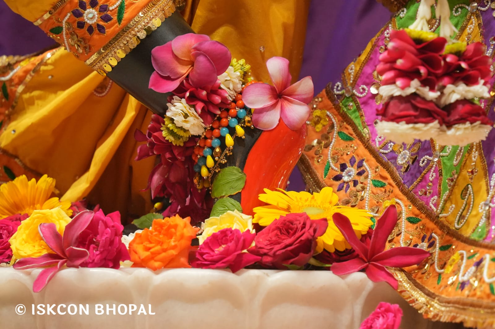 WhatsApp Image 2026-03-24 at 13.38.25 (1)