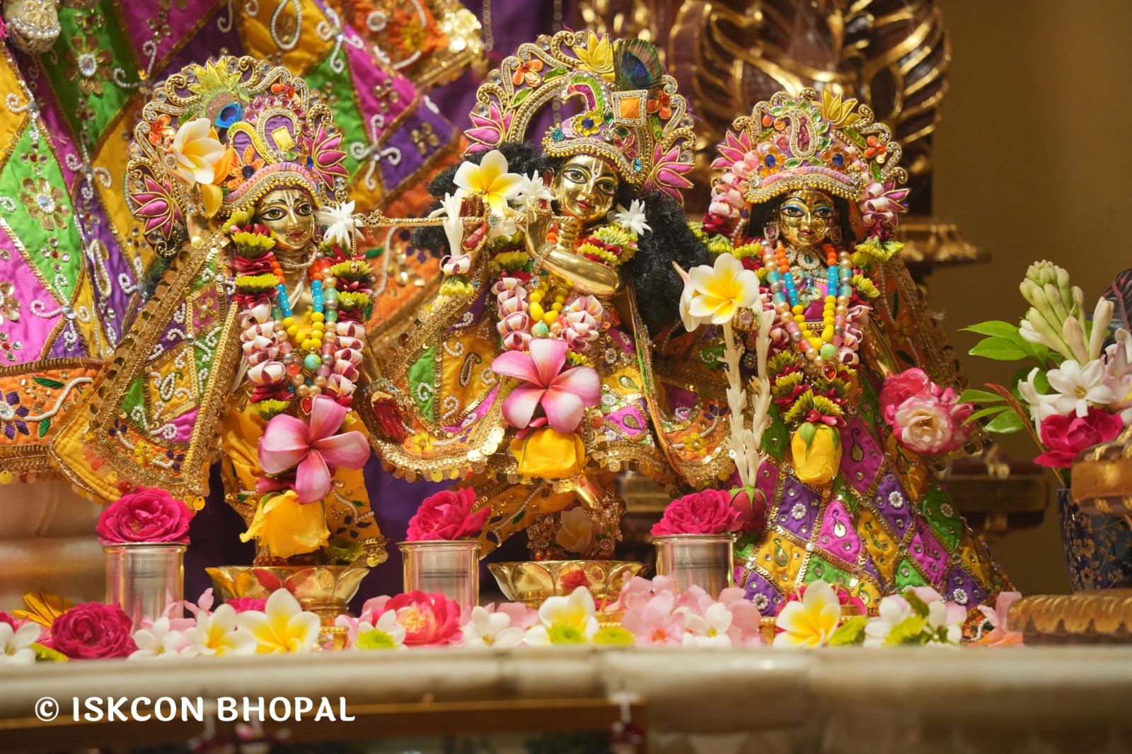 WhatsApp Image 2026-03-24 at 13.38.26