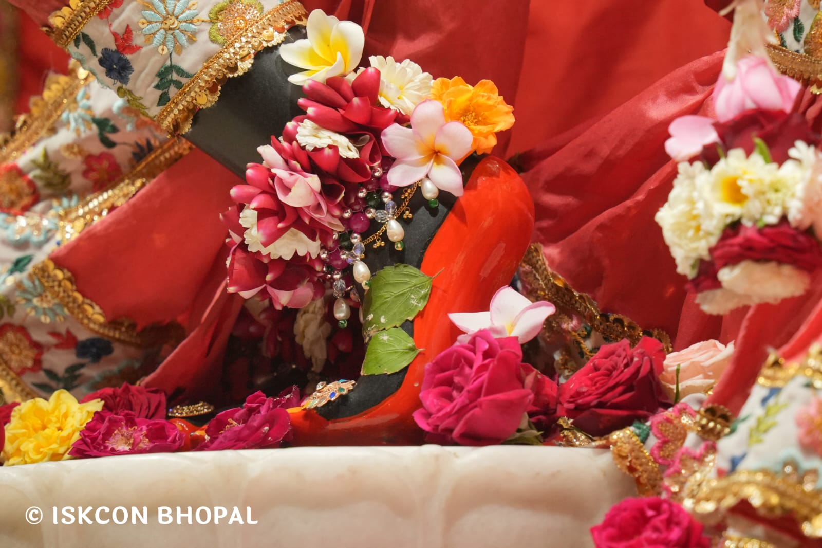 WhatsApp Image 2026-03-25 at 08.10.08 (1)