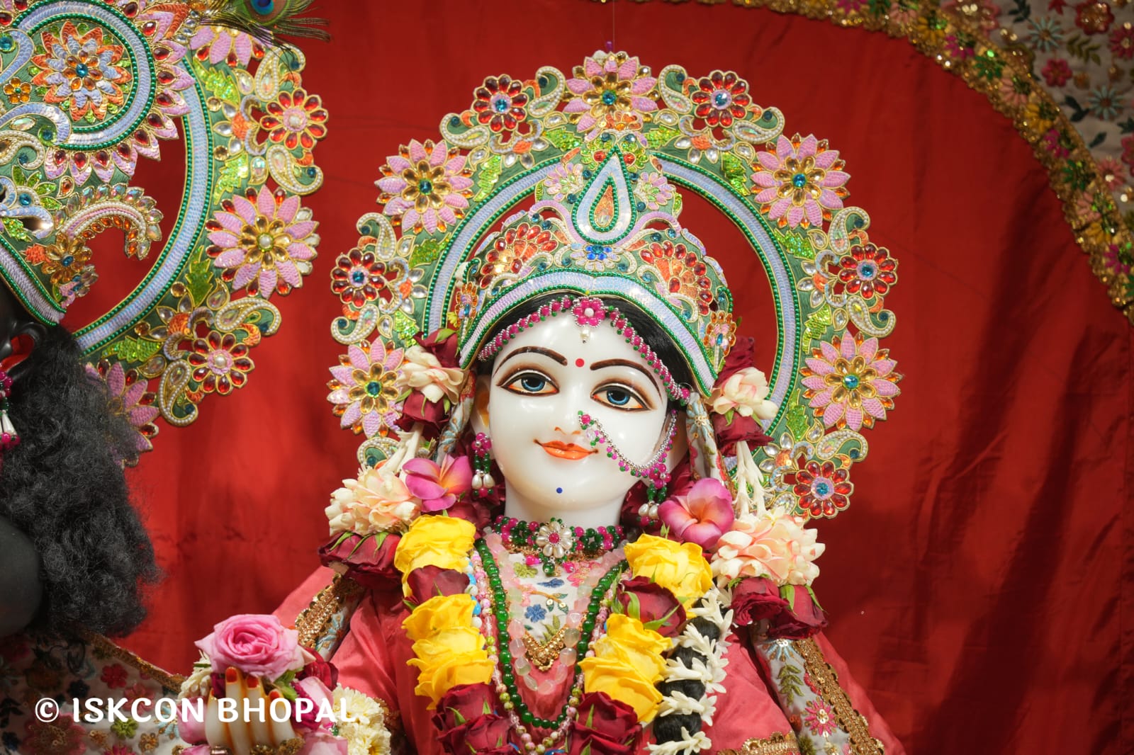 WhatsApp Image 2026-03-25 at 08.10.09 (1)