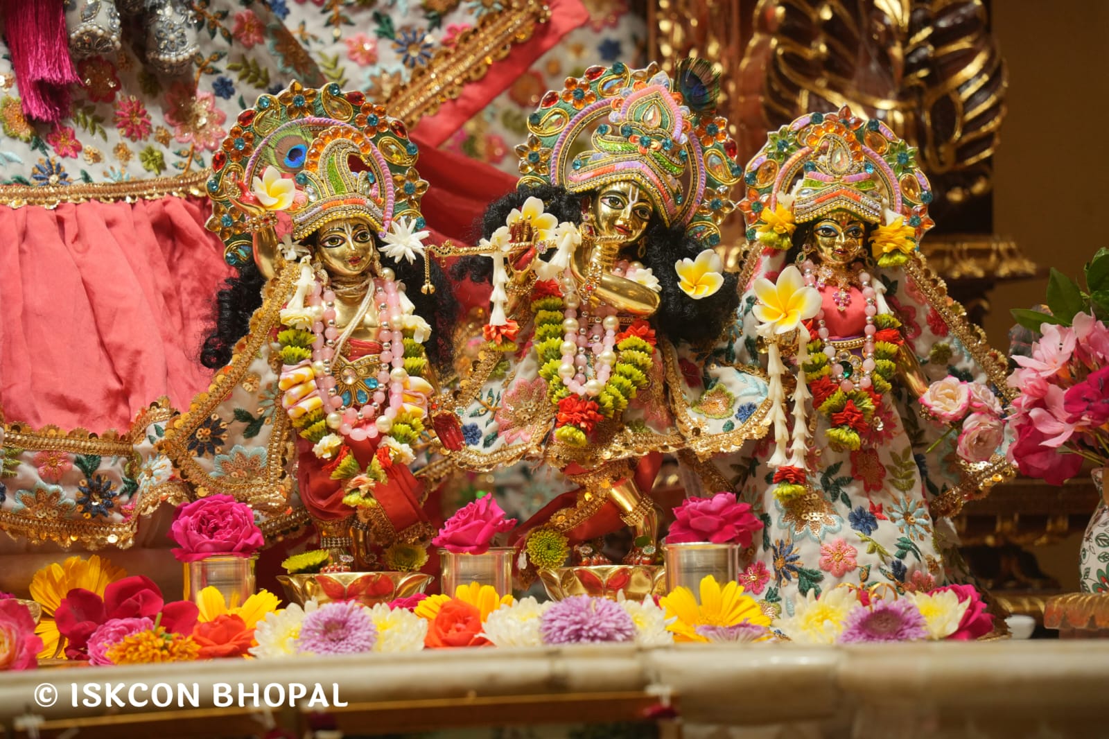 WhatsApp Image 2026-03-25 at 08.10.09