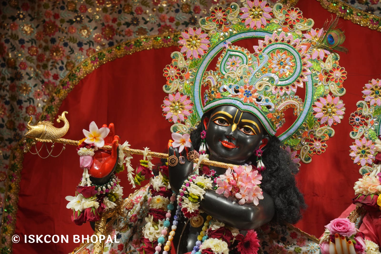 WhatsApp Image 2026-03-25 at 08.10.10