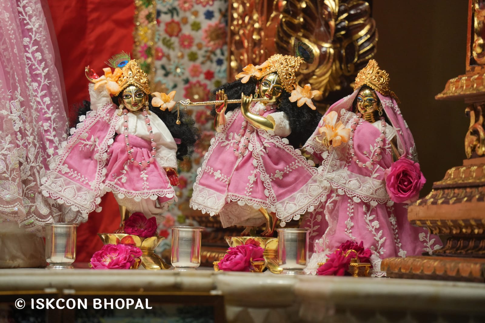 WhatsApp Image 2026-03-26 at 08.05.56 (1)