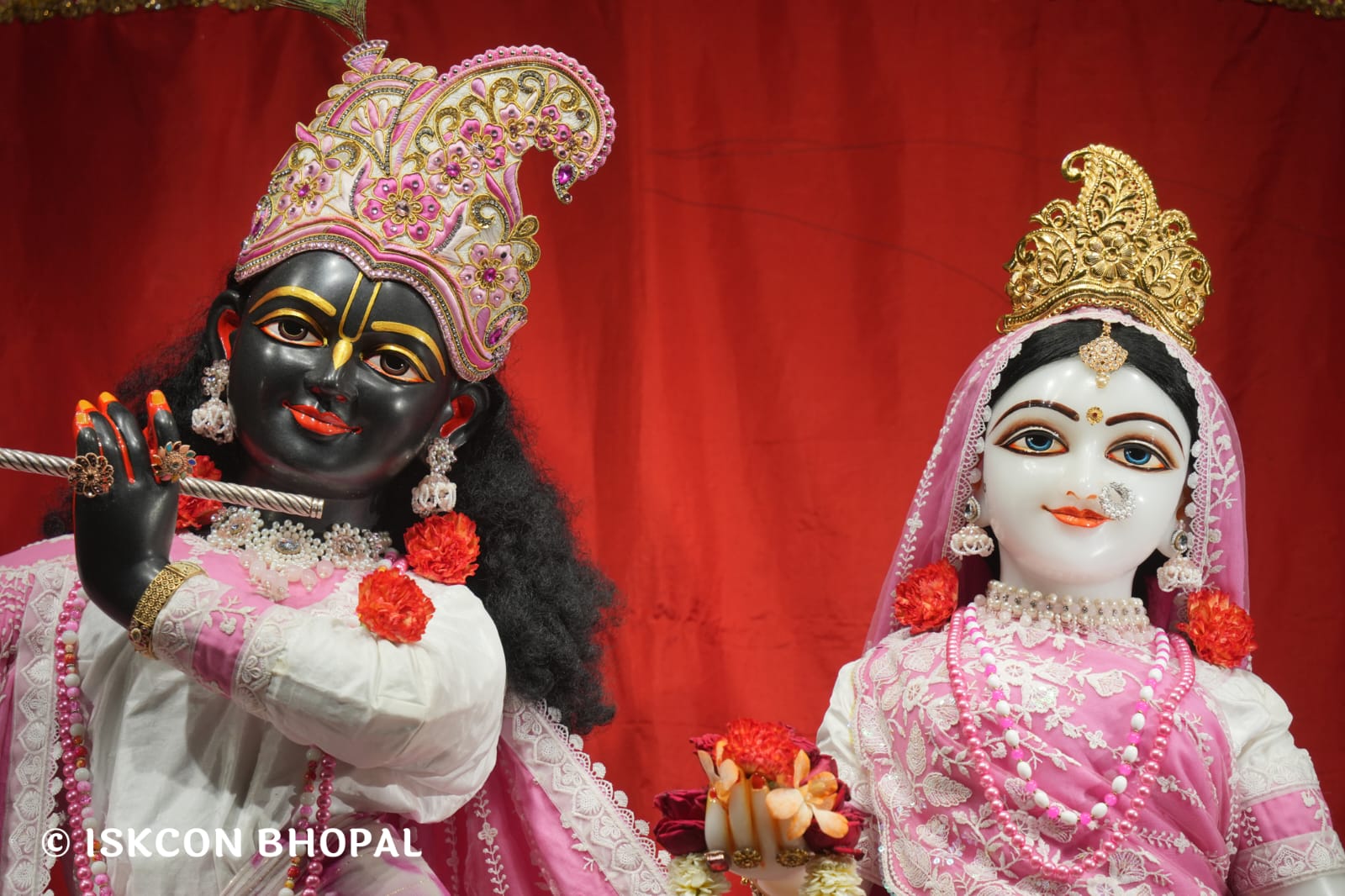 WhatsApp Image 2026-03-26 at 08.05.58