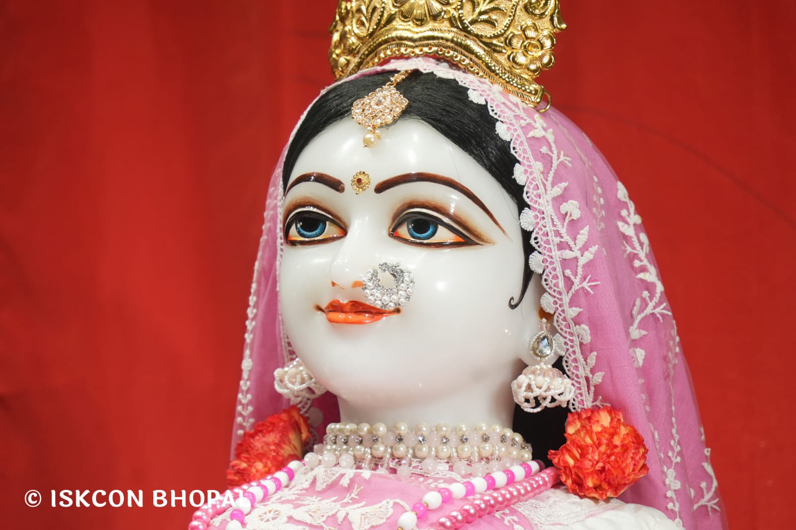 WhatsApp Image 2026-03-26 at 08.05.59 (1)