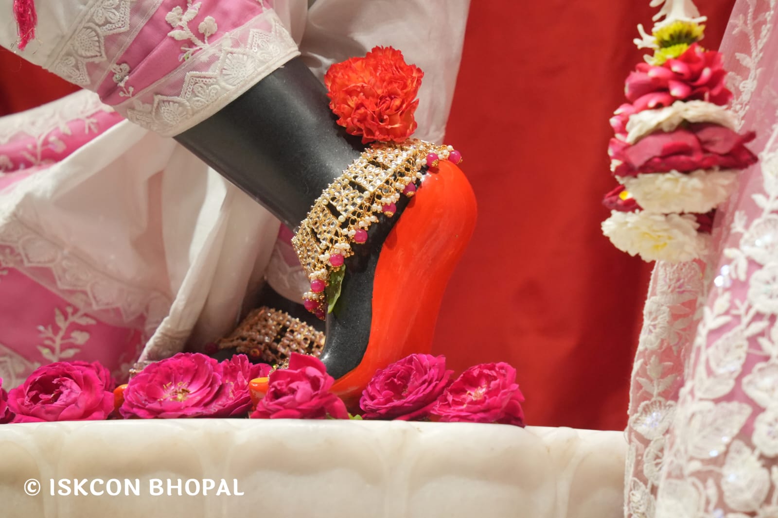 WhatsApp Image 2026-03-26 at 08.06.00 (1)