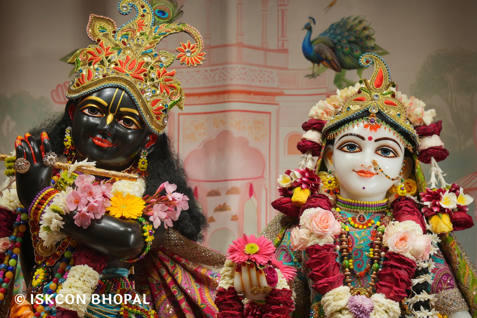 WhatsApp Image 2026-03-27 at 06.04.53