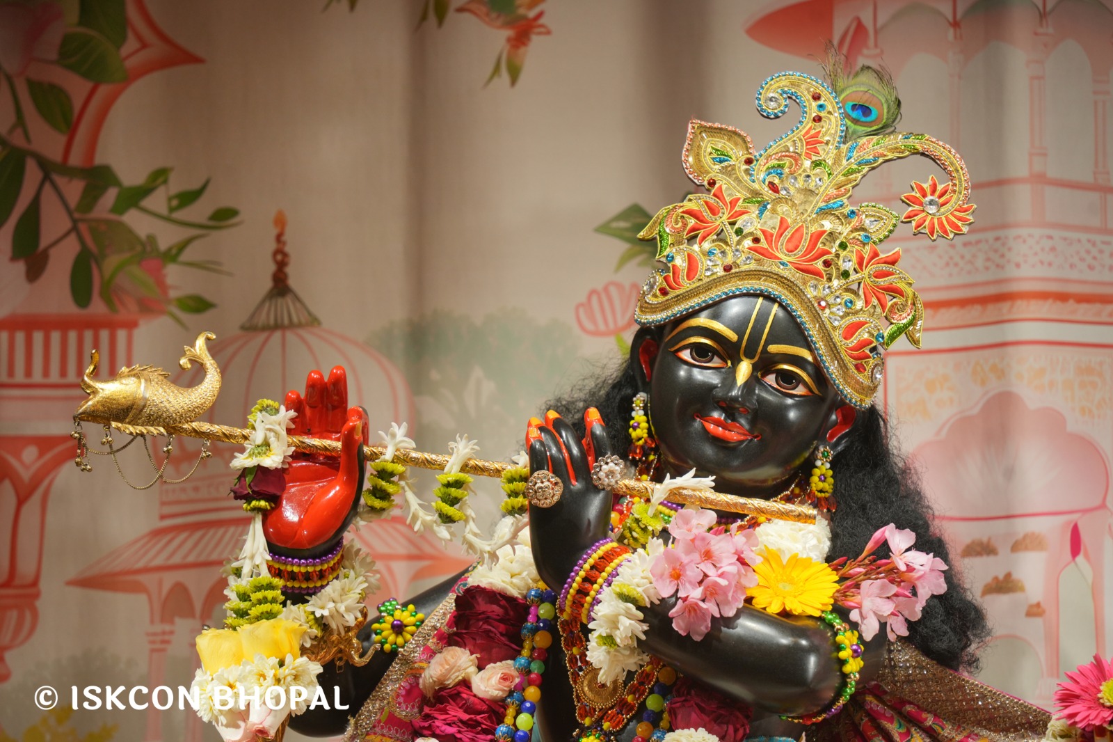 WhatsApp Image 2026-03-27 at 06.04.59