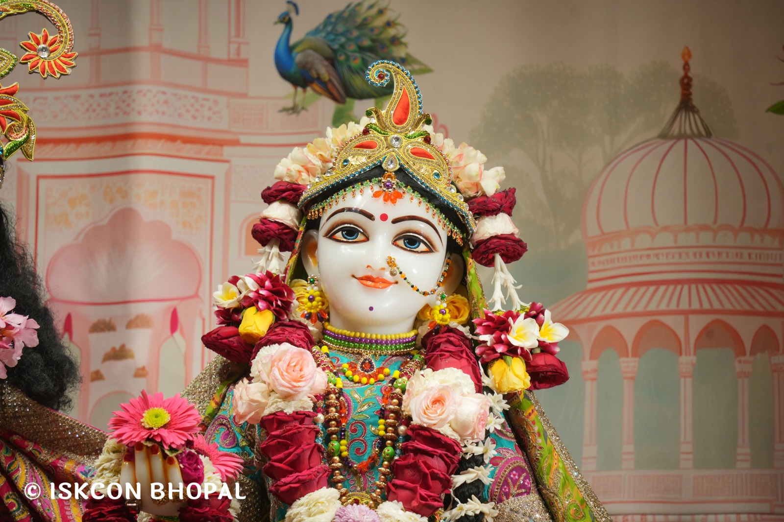 WhatsApp Image 2026-03-27 at 06.05.04