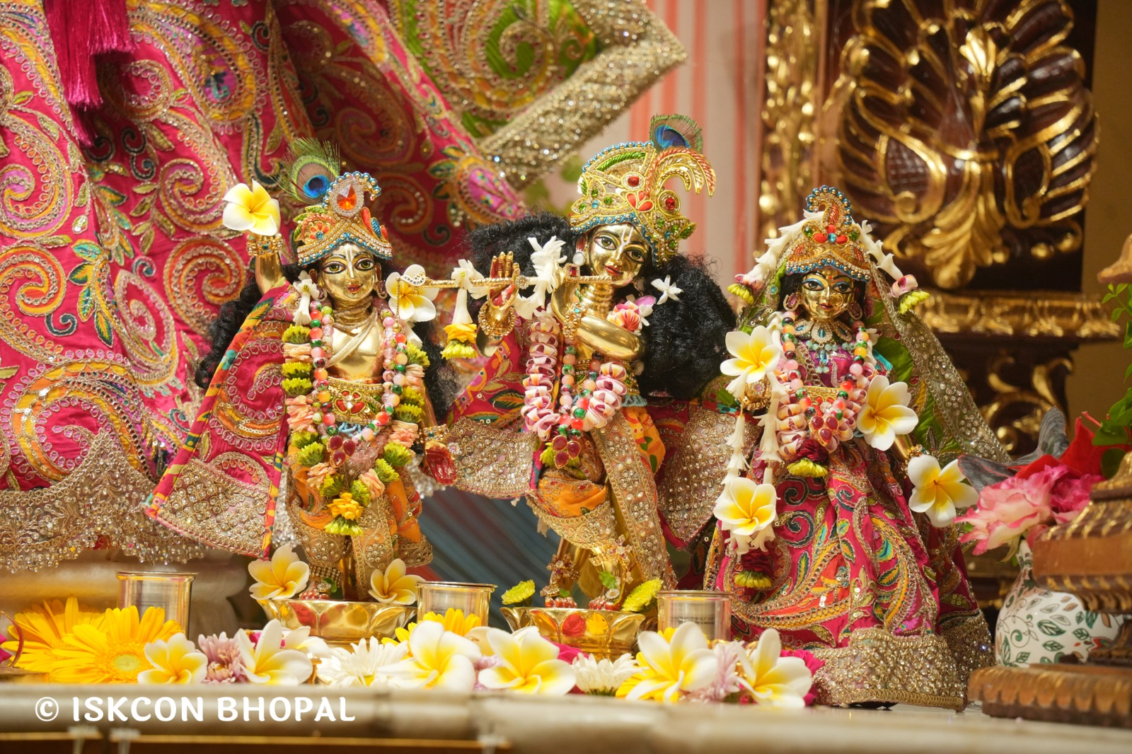 WhatsApp Image 2026-03-27 at 06.05.08