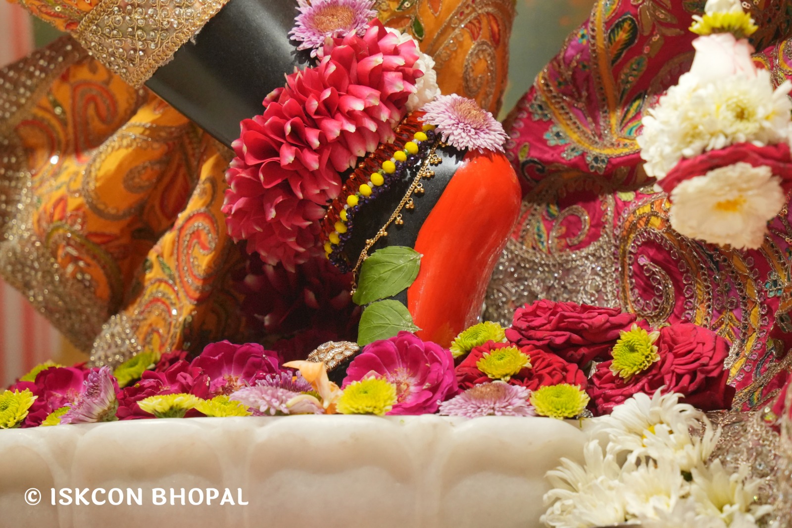 WhatsApp Image 2026-03-27 at 06.05.13