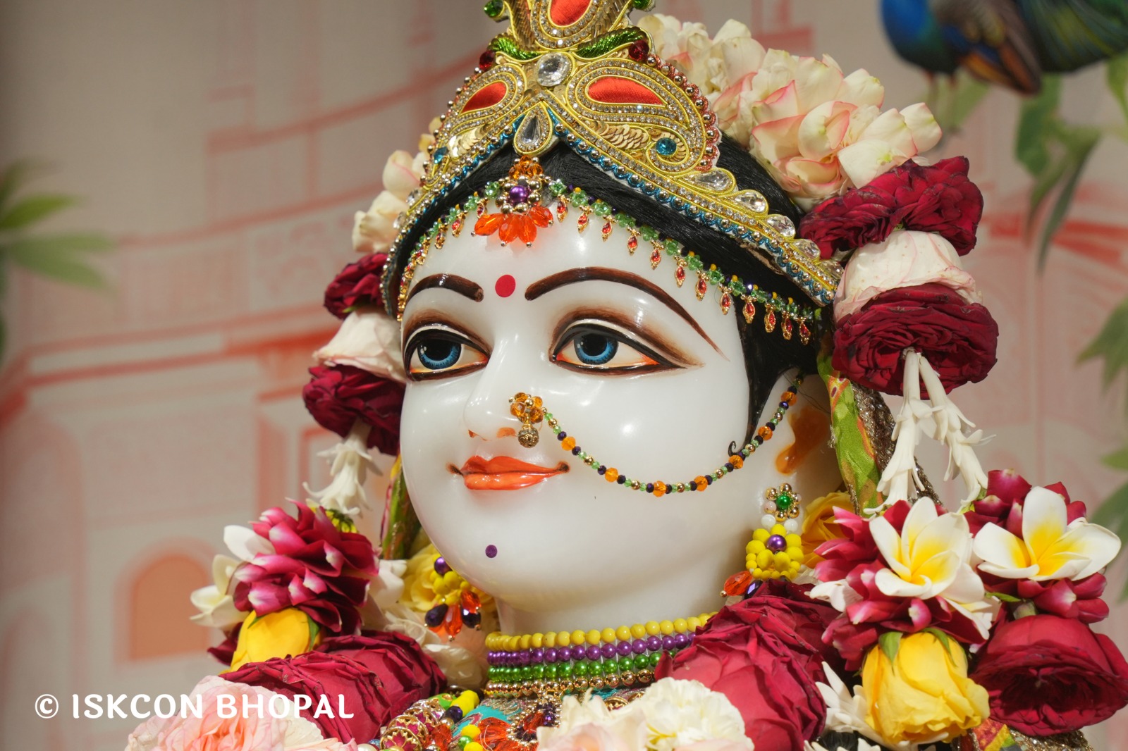 WhatsApp Image 2026-03-27 at 06.05.22