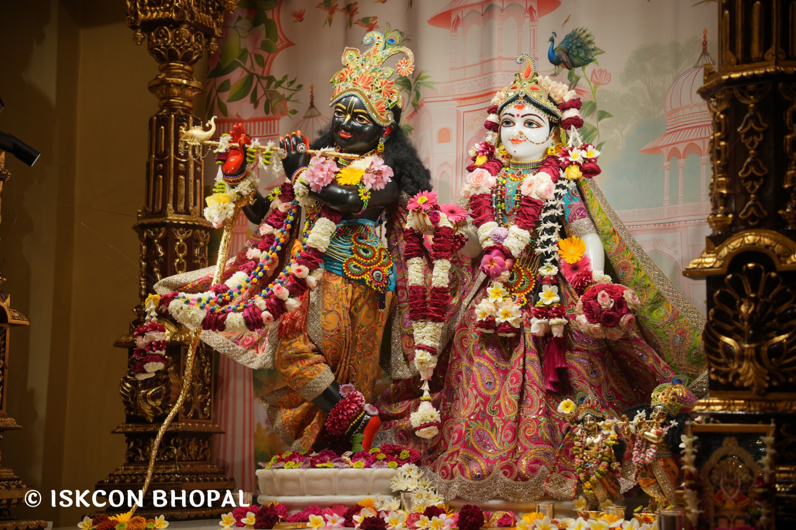 WhatsApp Image 2026-03-27 at 06.05.37