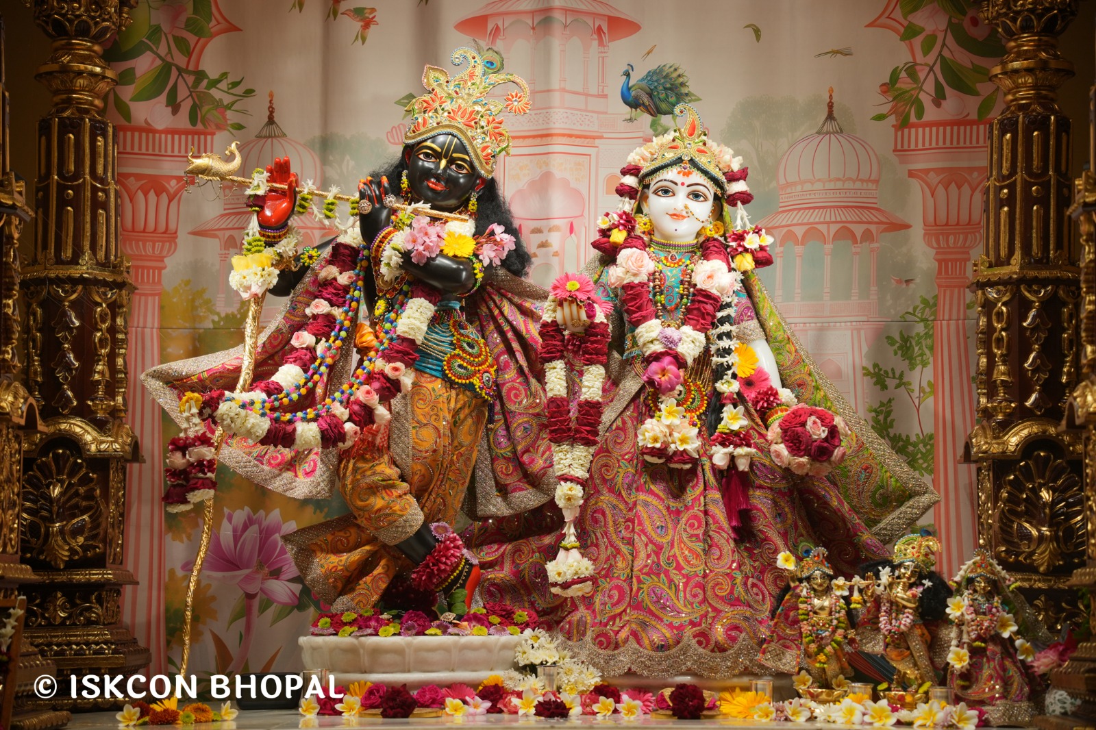 WhatsApp Image 2026-03-27 at 06.05.59