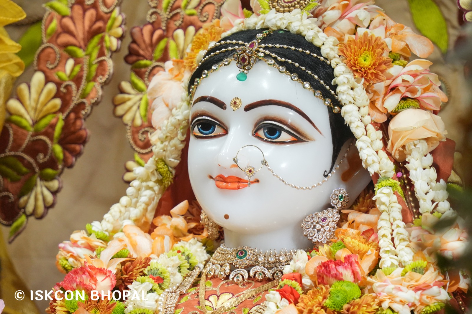 WhatsApp Image 2026-03-27 at 08.36.38