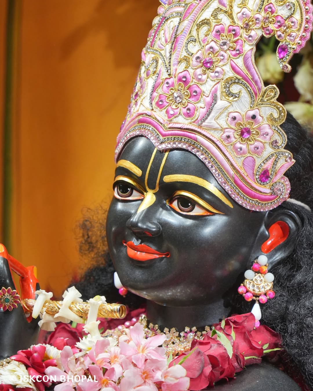 iskcon_bhopal_14050103_064653443