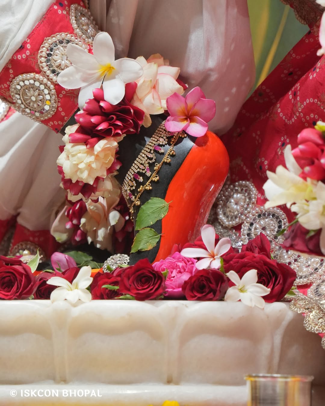 iskcon_bhopal_14050103_064654424