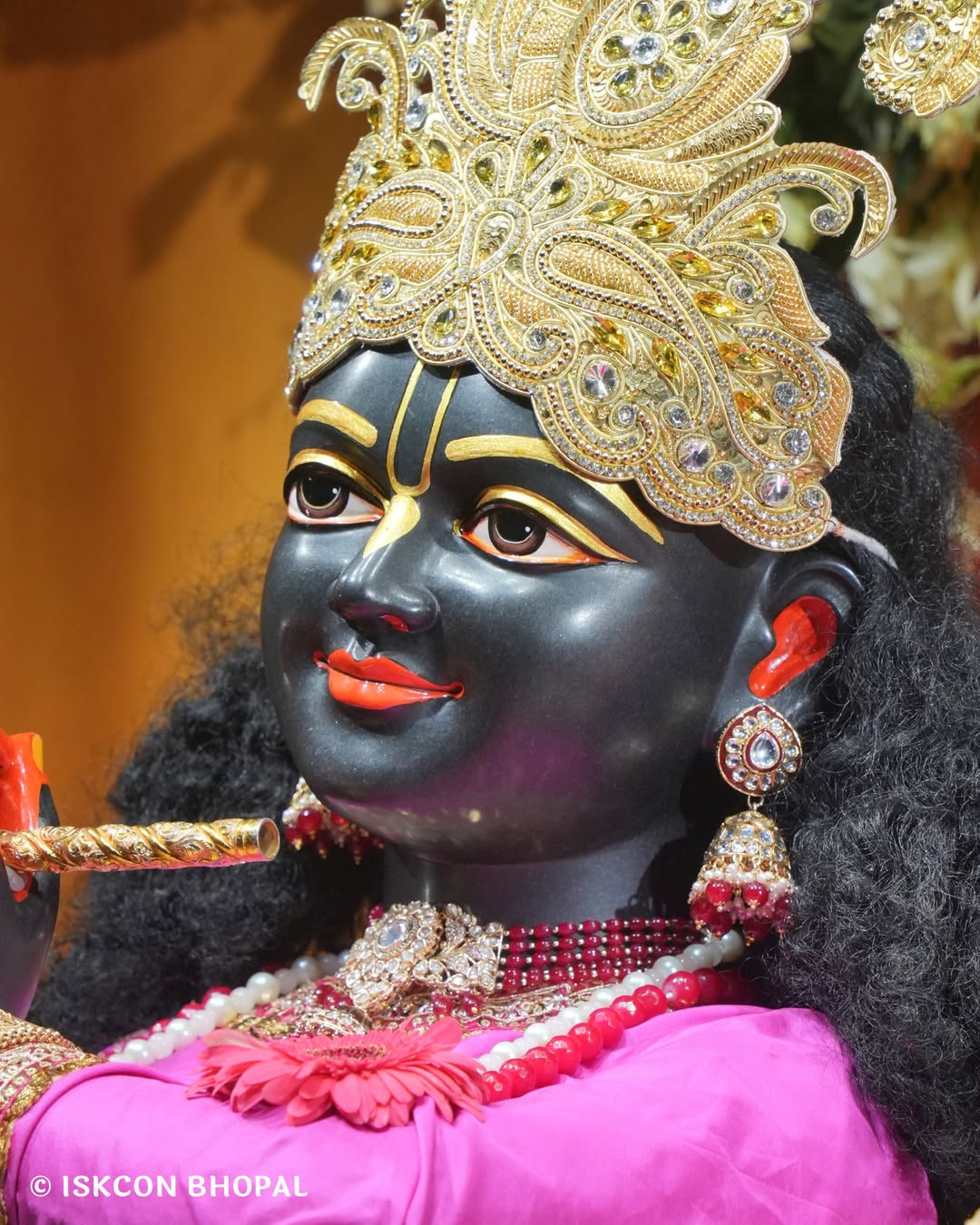 iskcon_bhopal_14050103_064715691