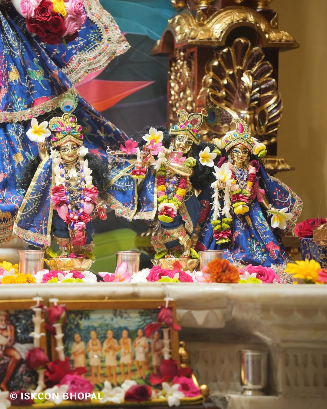 iskcon_bhopal_14050103_064743707