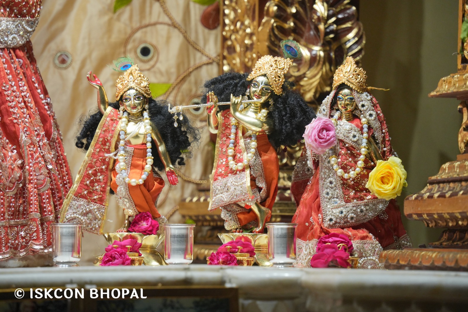 WhatsApp Image 2026-03-28 at 08.16.47