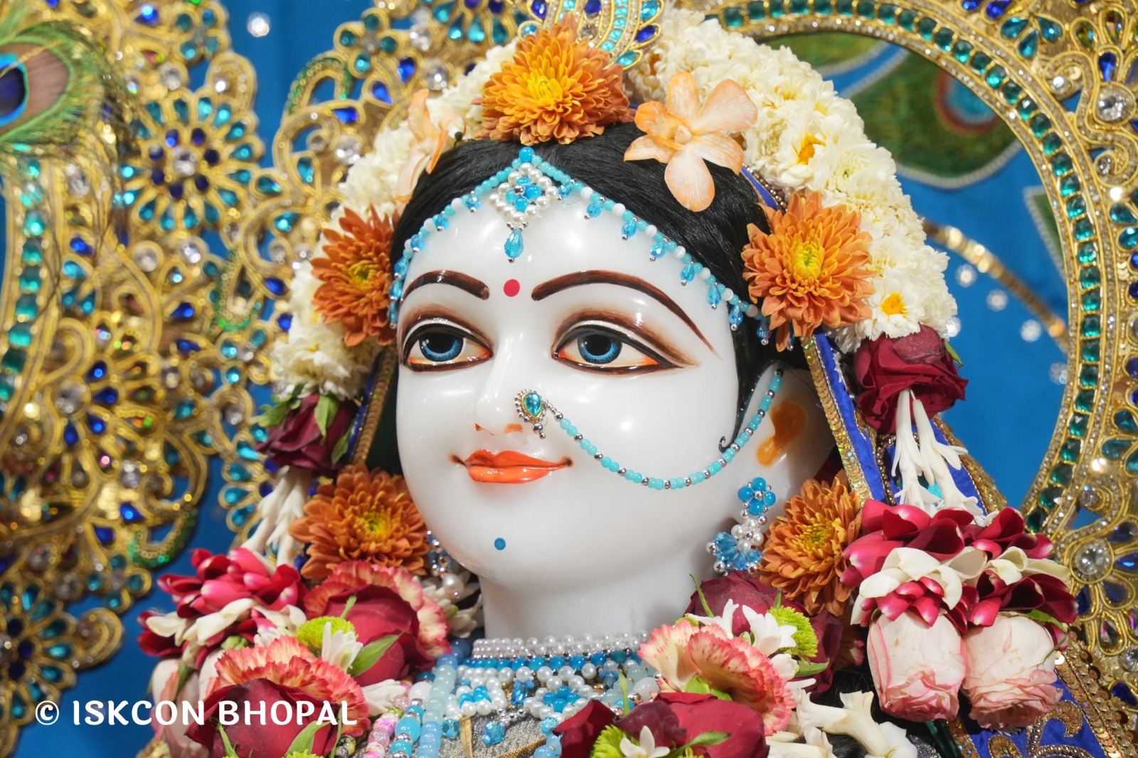 WhatsApp Image 2026-03-28 at 08.18.22