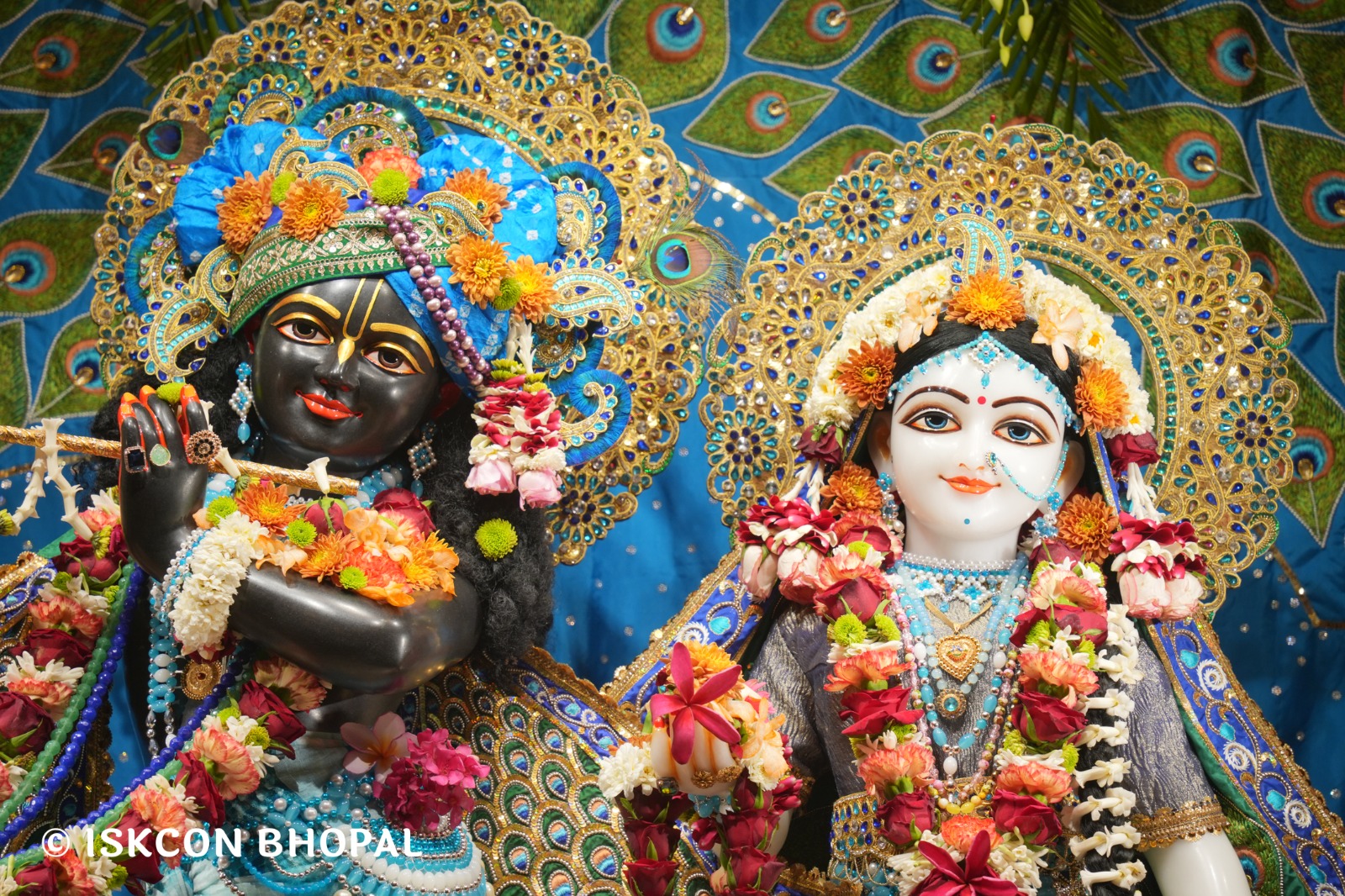 WhatsApp Image 2026-03-28 at 08.18.25