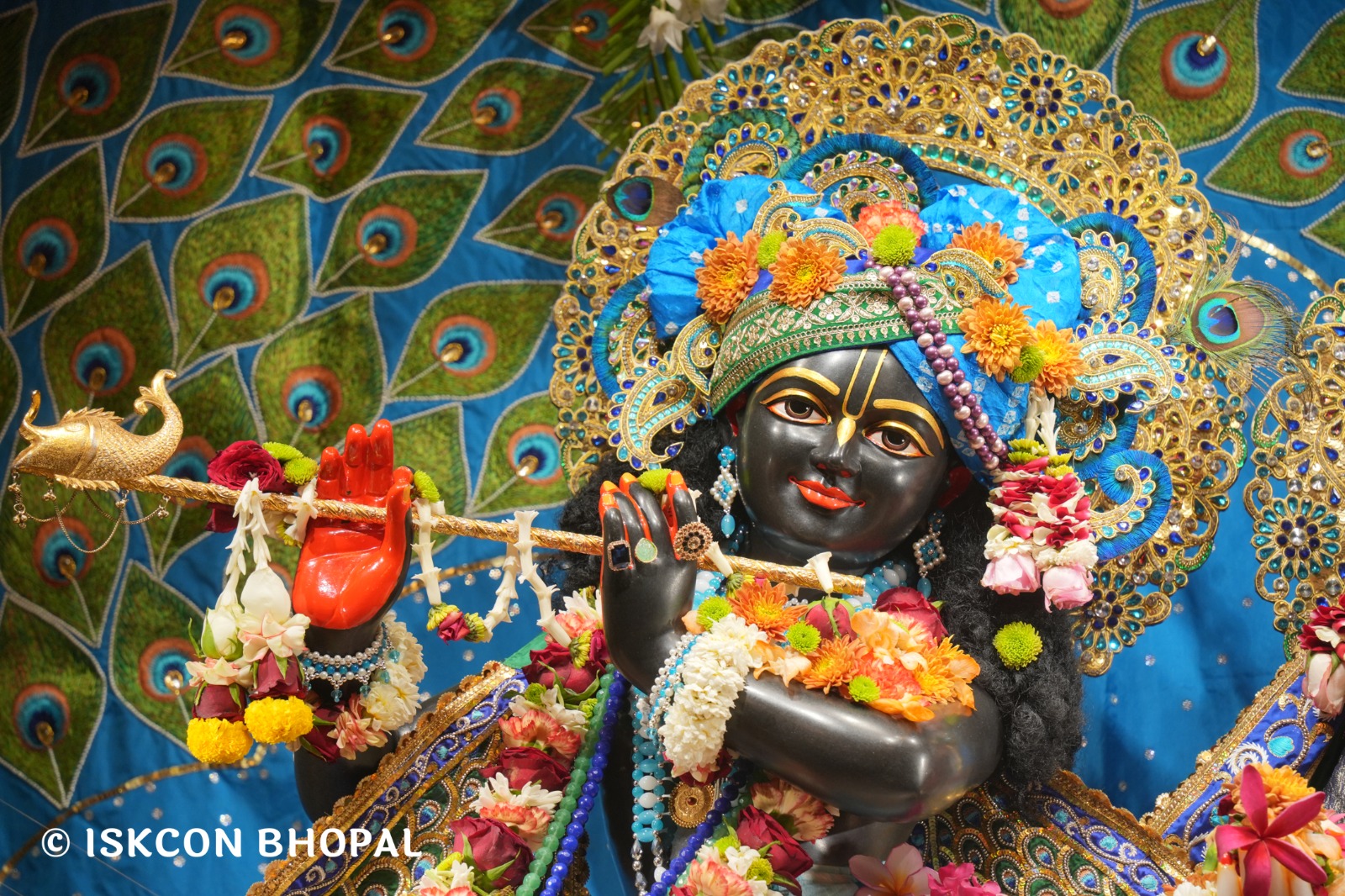 WhatsApp Image 2026-03-28 at 08.18.28