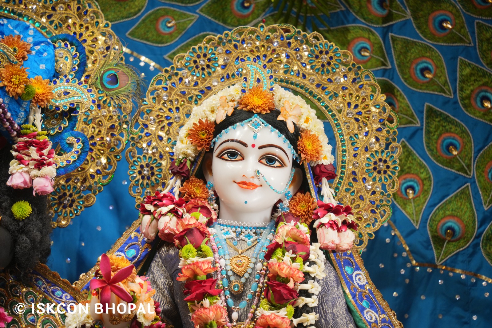 WhatsApp Image 2026-03-28 at 08.18.34