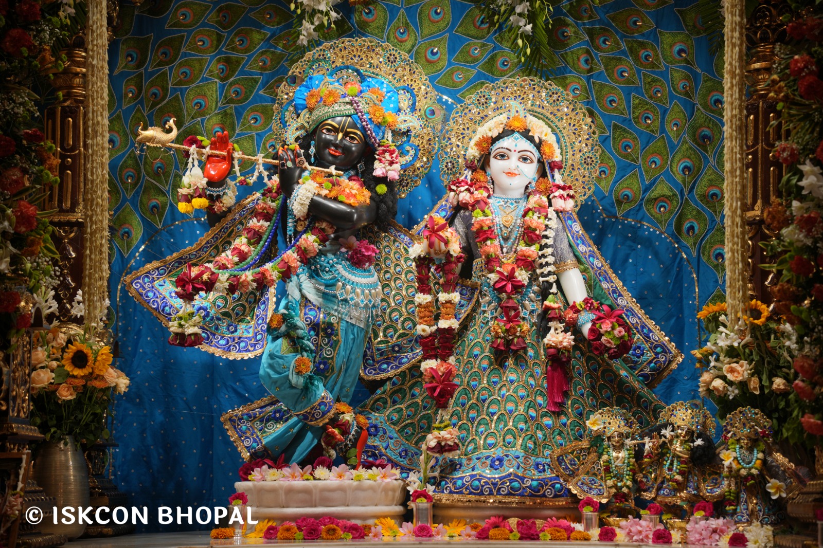 WhatsApp Image 2026-03-28 at 08.18.38