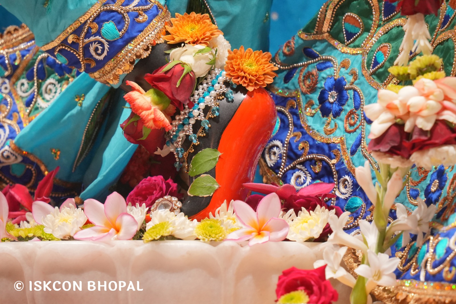 WhatsApp Image 2026-03-28 at 08.18.40