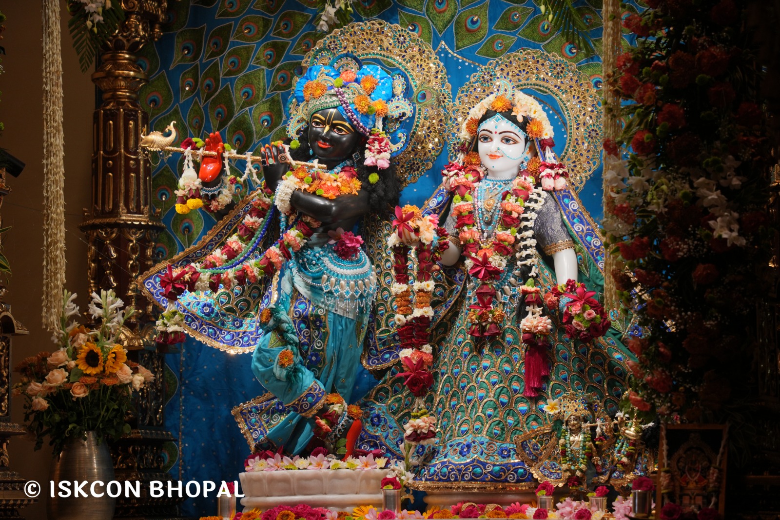 WhatsApp Image 2026-03-28 at 08.18.42