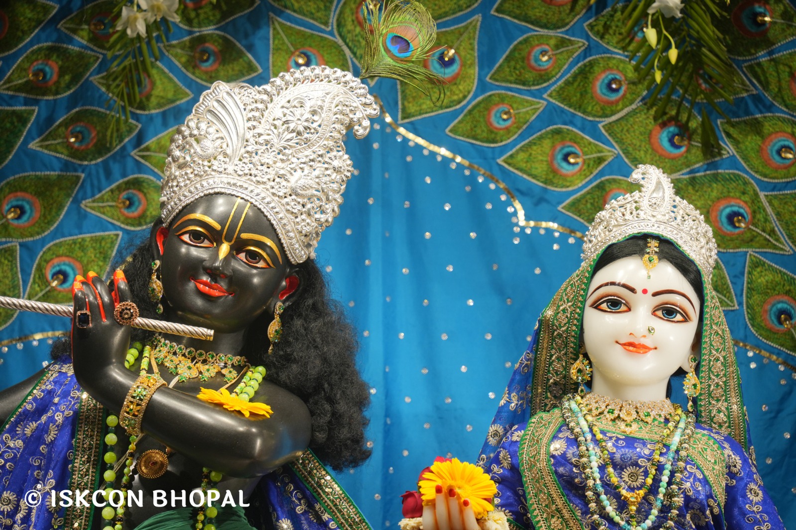 WhatsApp Image 2026-03-29 at 15.10.32