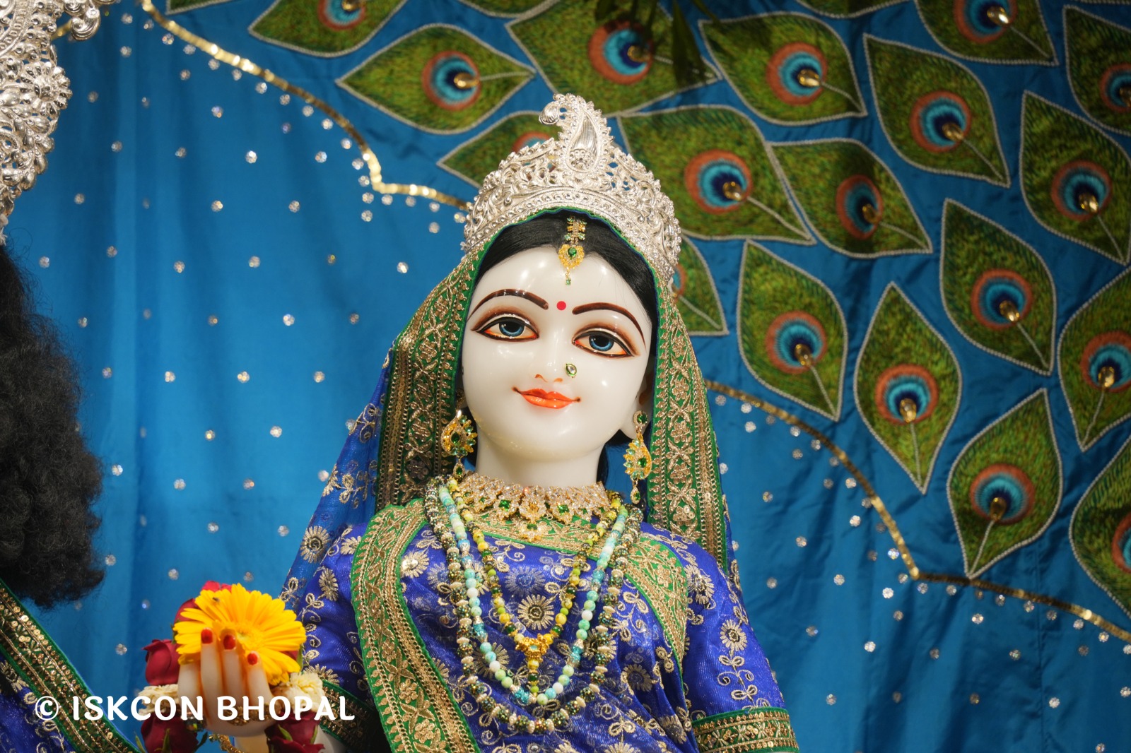 WhatsApp Image 2026-03-29 at 15.10.36