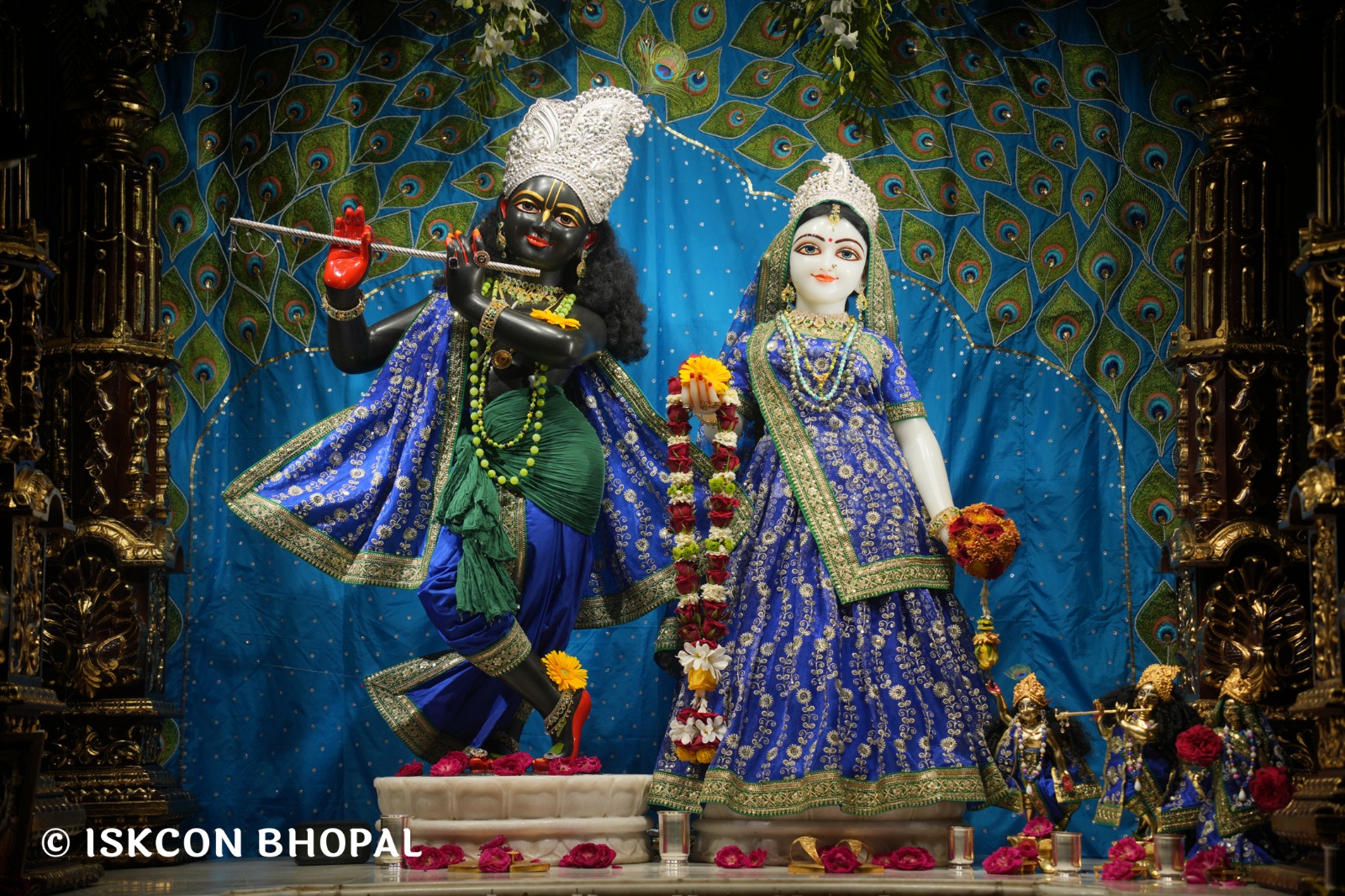 WhatsApp Image 2026-03-29 at 15.10.40