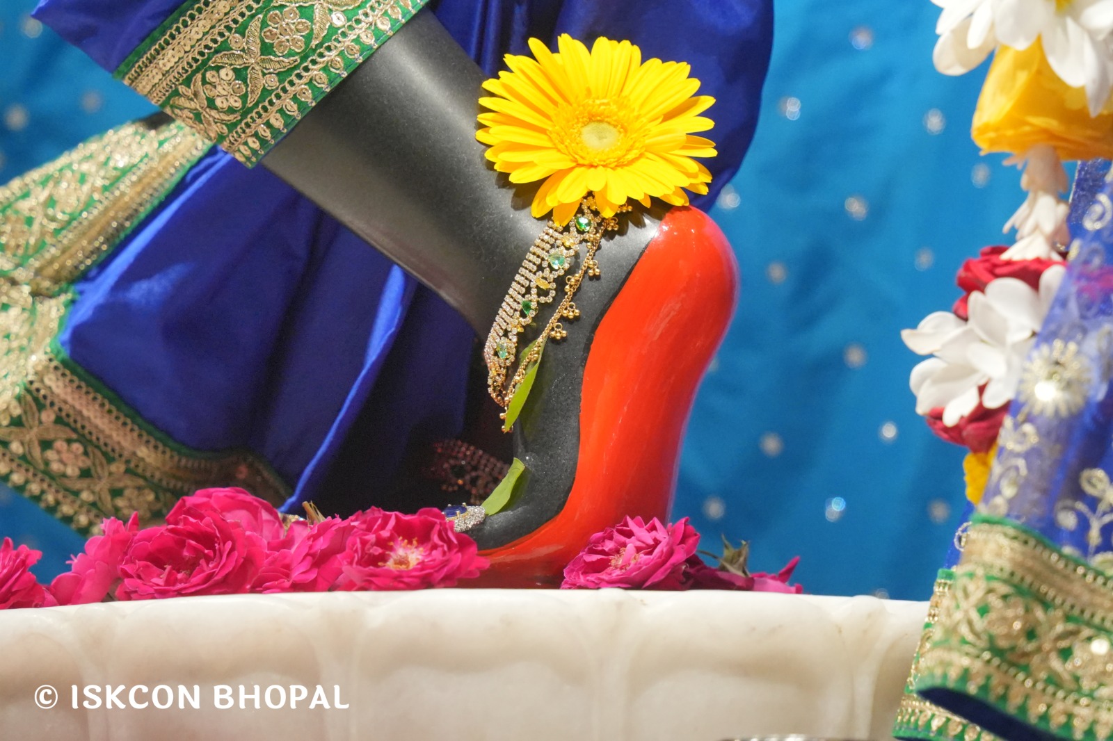 WhatsApp Image 2026-03-29 at 15.10.44