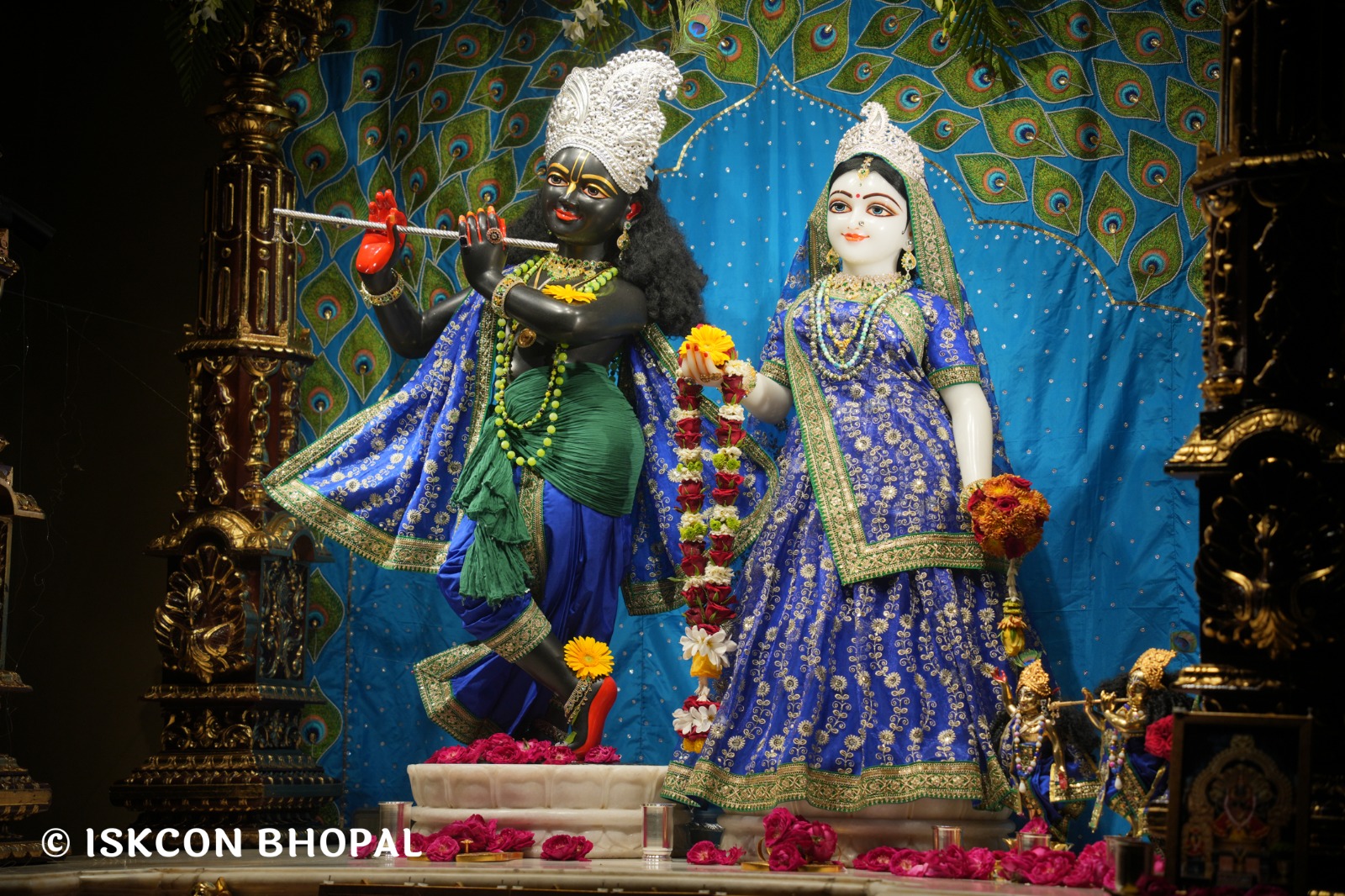 WhatsApp Image 2026-03-29 at 15.10.53