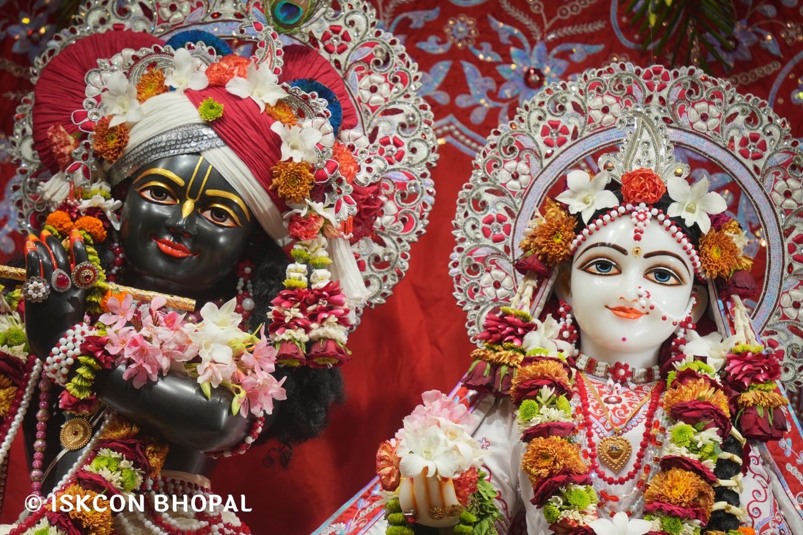 WhatsApp Image 2026-03-29 at 15.11.43