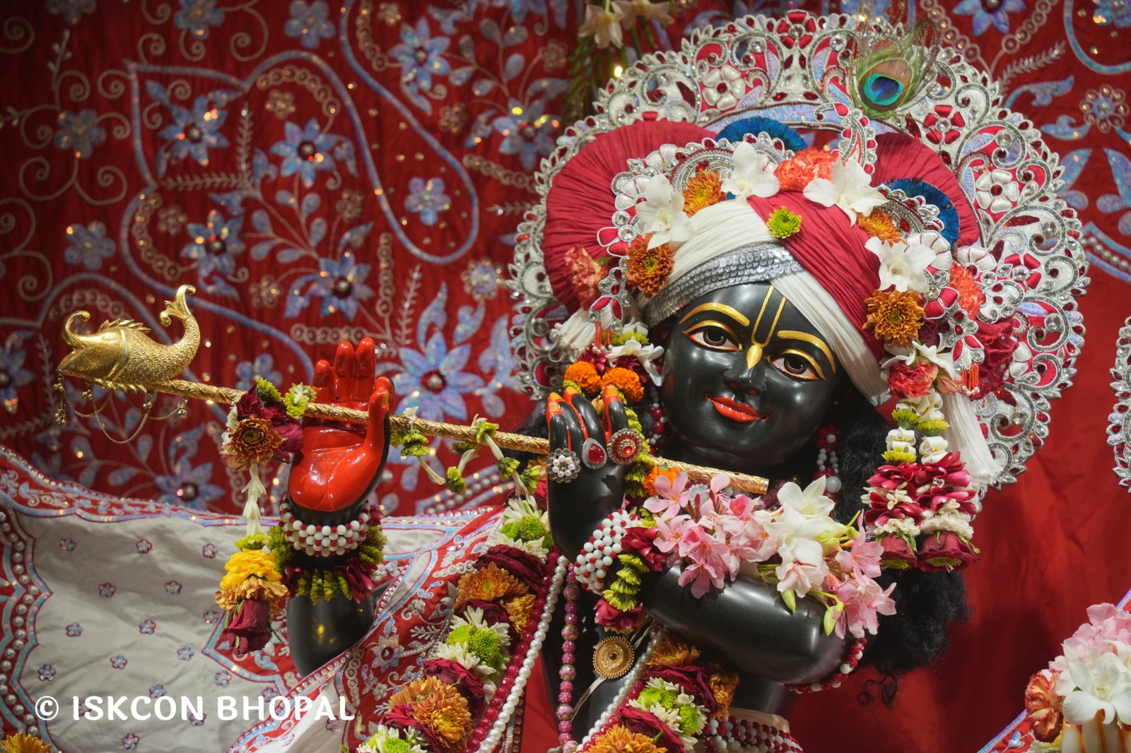 WhatsApp Image 2026-03-29 at 15.11.53