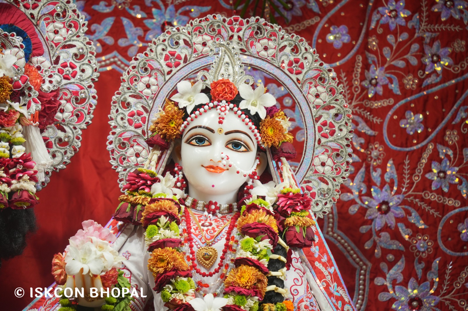 WhatsApp Image 2026-03-29 at 15.11.54