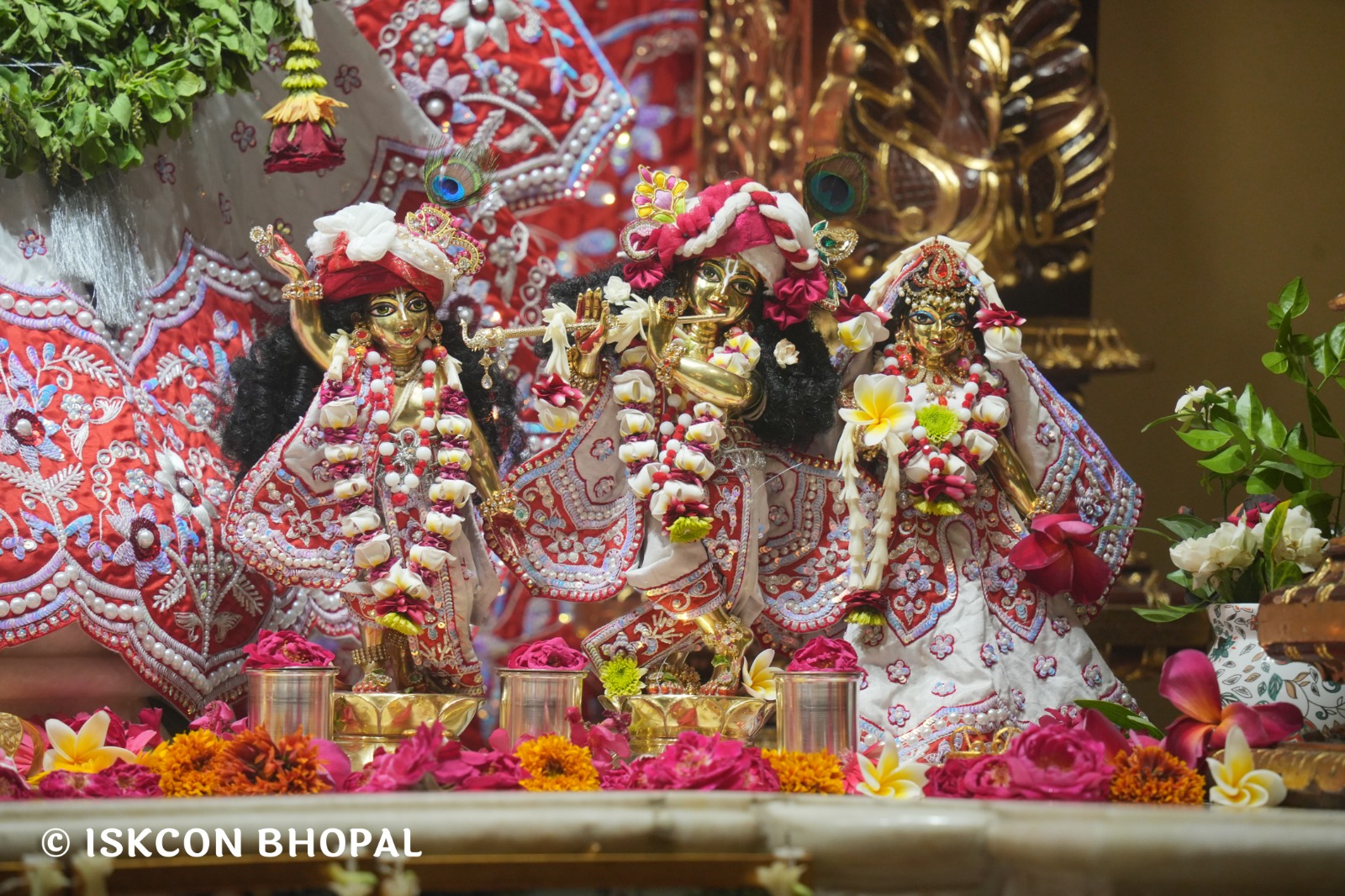 WhatsApp Image 2026-03-29 at 15.11.59