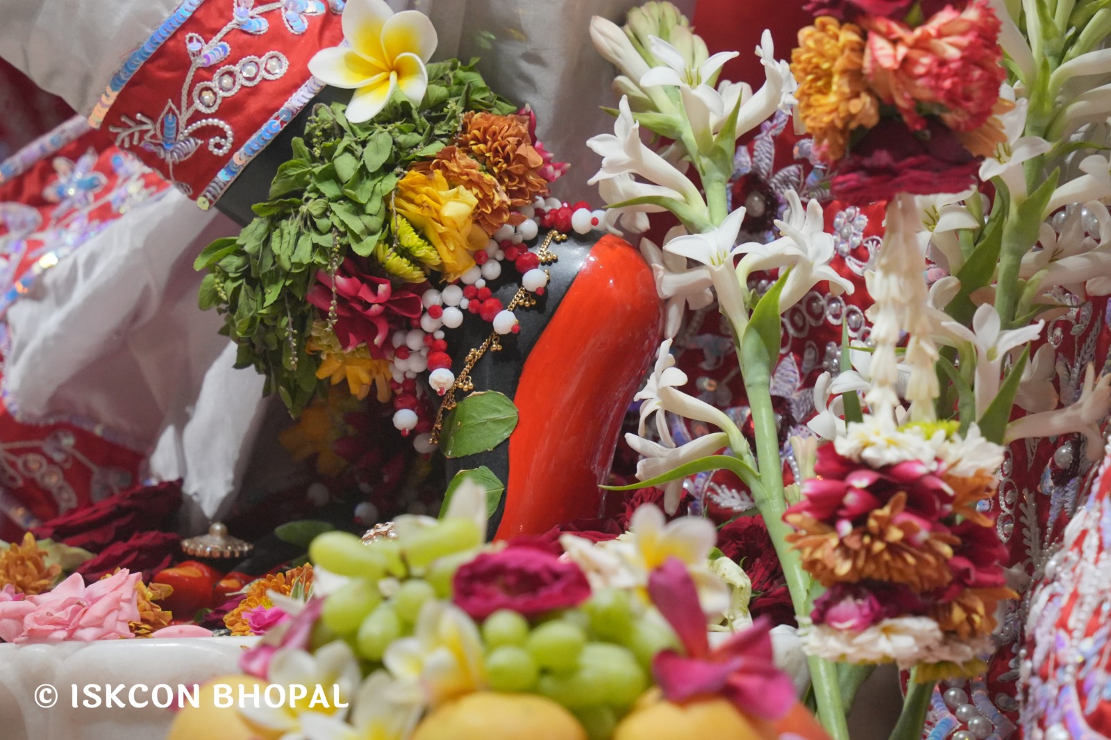 WhatsApp Image 2026-03-29 at 15.12.04