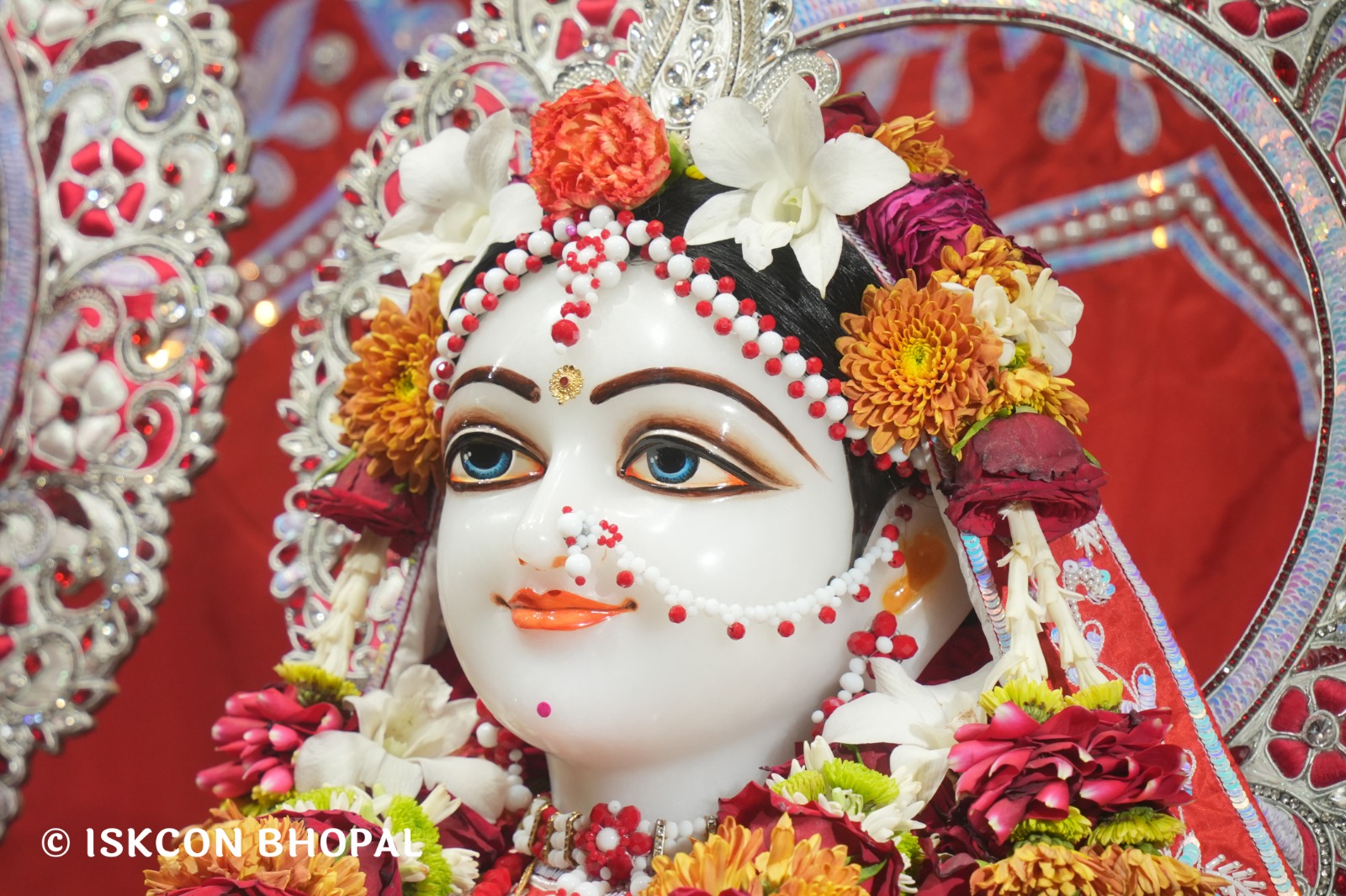 WhatsApp Image 2026-03-29 at 15.12.09