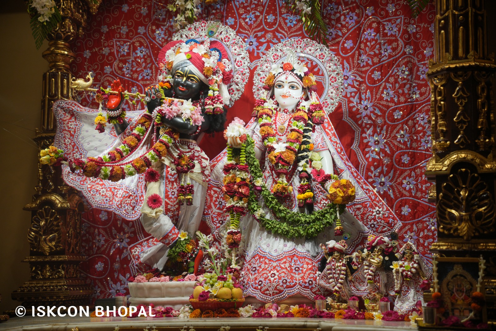 WhatsApp Image 2026-03-29 at 15.12.10